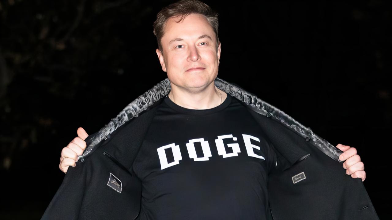 Doge Elion Musk
