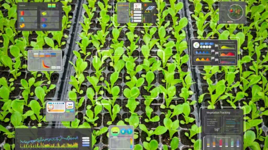 agricoltura intelligenza artificiale