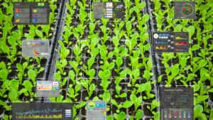 agricoltura intelligenza artificiale