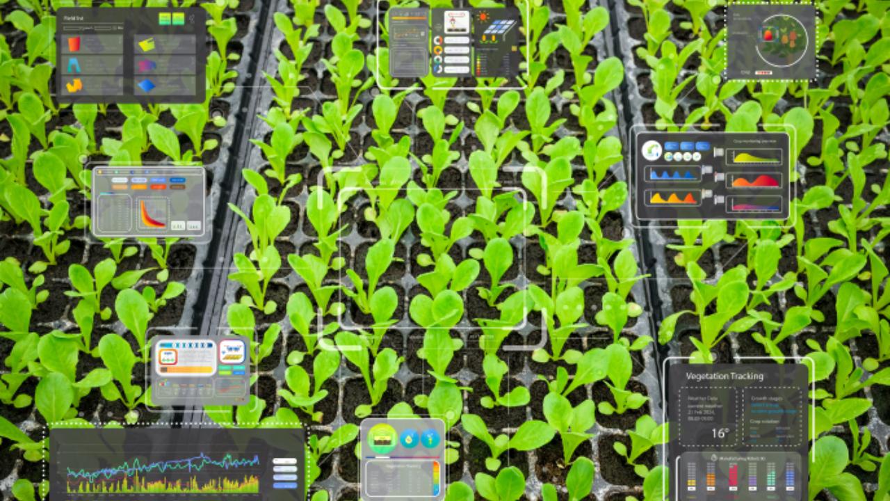 agricoltura intelligenza artificiale